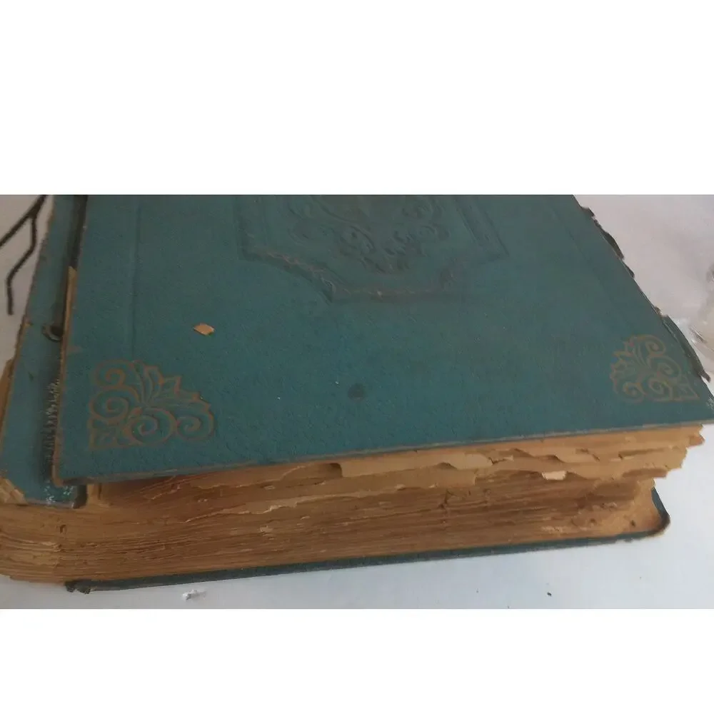 Vintage Screenstars 1930s Golden Age Hollywood Movie Star Scrapbook 110 pages